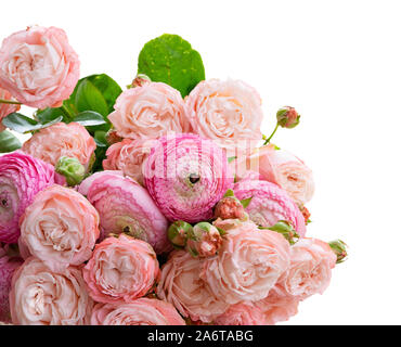 Fleurs roses frais Banque D'Images