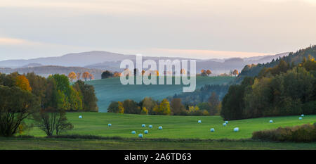 Les arbres d'automne ensoleillée au coucher du soleil. Paysage panoramique. Foin emballé Blanc sur vert prairie, champ et rangée d'arbres lumineux jaune sur la colline parlementaire. Des pics de montagne. Banque D'Images