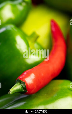 Contraste de couleur rouge sur vert : chili entre une pile de paprika vert / bell peppers - cadre rempli, seule la partie avant du chili est forte Banque D'Images