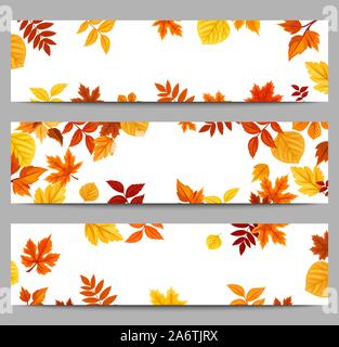 Ensemble de trois bannières web vecteur avec motif de feuilles d'automne. Illustration de Vecteur