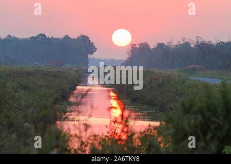 Beau lever de soleil entre les arbres à la rivière Alligator Wildlife Refuge, Caroline du Nord. Banque D'Images