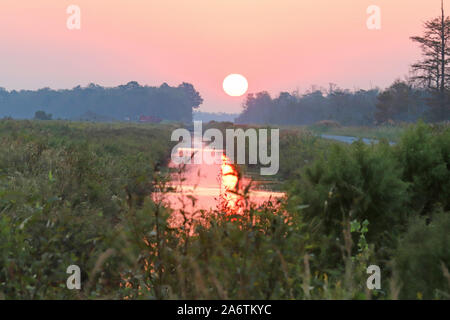 Beau lever de soleil entre les arbres à la rivière Alligator Wildlife Refuge, Caroline du Nord. Banque D'Images