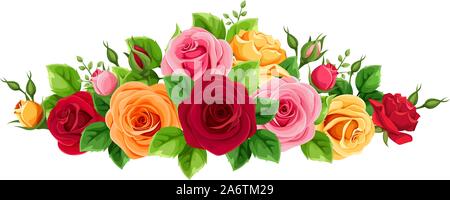 Bouquet horizontal vecteur avec rouge, rose, orange et jaune roses isolé sur un fond blanc. Illustration de Vecteur
