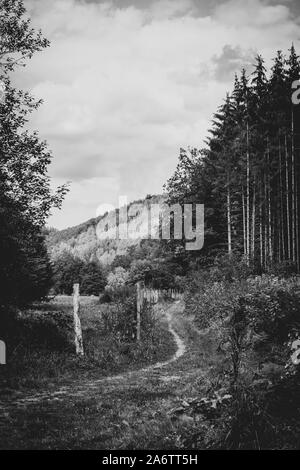 Un portrait en noir et blanc d'une petite route de terre en marche à côté d'un pré, menant à une forêt. La route est clairement créé par les gens qui marchent dans le sam Banque D'Images