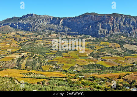 L'île de Crète, les vignobles et les champs à travers les vallées d'Héraklion, Crète, Grèce. Banque D'Images