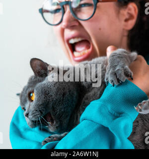 La agressive sauvage chat gris et les jeunes femme en colère sur fond blanc à côté Banque D'Images