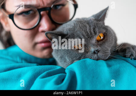 La agressive sauvage chat gris et les jeunes Angry woman on white background looking at camera Banque D'Images