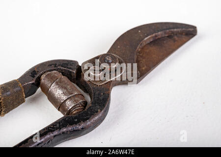 Ancien sécateur rouillé. Accessoires pour couper les branches d'arbres et arbustes dans votre jardin. Fond clair. Banque D'Images