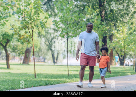 Cheerful african american father and son holding hands alors que walking in park Banque D'Images