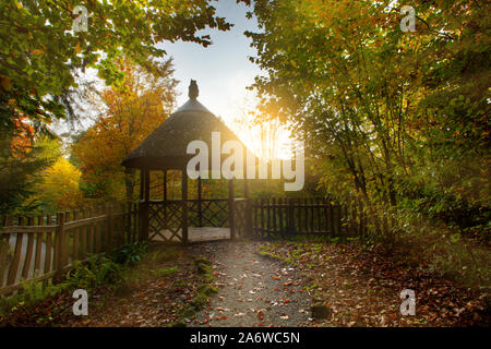 Outddors arbor de forrest pendant le coucher du soleil Banque D'Images