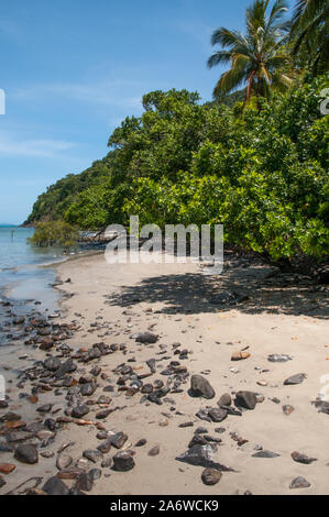 Thornton's Beach à Cape Tribulation dans le parc national de Daintree, une zone du patrimoine mondial dans le Nord tropical du Queensland, Australie Banque D'Images