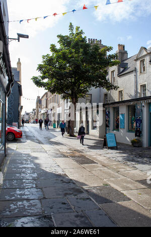 L'érable sycomore (Acer pseudoplatanus) rue arbre, Kirkwall, Orkney Islands, Scotland Banque D'Images