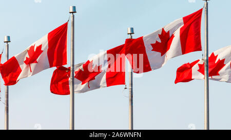 Quatre drapeaux canadiens, parmi plusieurs voler dans un endroit, sont dans le vent sur des mâts contre un ciel bleu pâle. Banque D'Images