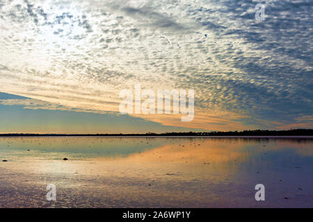 Lake Ninan, Salt Lake Victoria, Australie de l'ouest des Plaines Banque D'Images