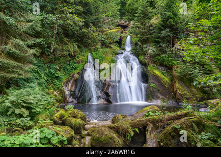 Cascades de Triberg, Forêt Noire, Allemagne Banque D'Images