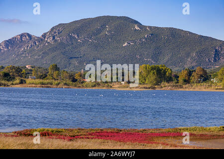 Les flamants roses sur le lac Korission au repos, Corfou, Grèce Banque D'Images