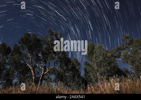 Les étoiles dans le ciel de nuit avec les arbres en premier plan éclairé par la lune, photographié en Australie Banque D'Images