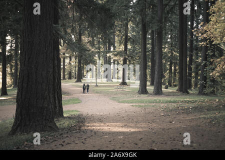 Un après-midi ensoleillé au pied de Mt. Tabor Park à Portland, Orégon, saison d'automne Banque D'Images