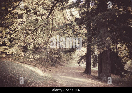 Un après-midi ensoleillé au pied de Mt. Tabor Park à Portland, Orégon, saison d'automne Banque D'Images