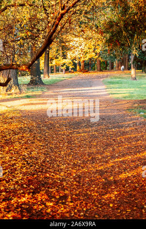 Un après-midi ensoleillé au pied de Mt. Tabor Park à Portland, Oregon Banque D'Images