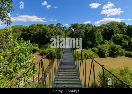 Pont suspendu, Olare Orok river, Masai Mara National Reserve, Kenya, Africa Banque D'Images
