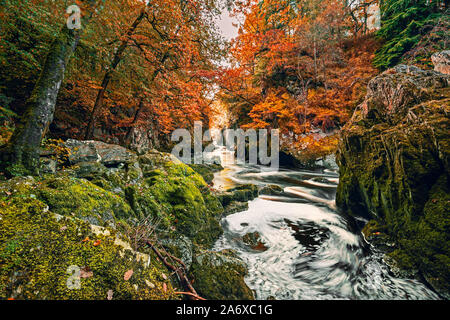 Flux d'eau entre gorge rocheuse à l'automne. Le Snowdonia dans le Nord du Pays de Galles, Royaume-Uni Banque D'Images