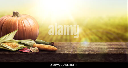 Célébration de Thanksgiving table des citrouilles et le maïs dans le soleil avec des champs d'or dans l'arrière-plan Banque D'Images