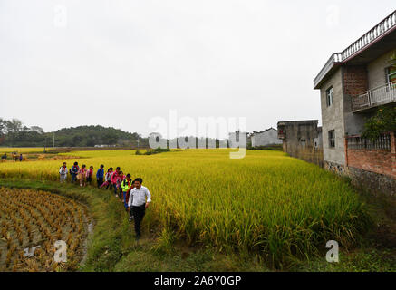 Jiangxi, Chine. 28 Oct, 2019. Huang Xinglai escortes (avant), les étudiants qui vivent loin de l'école, de retourner à la maison en Huping Canton de Le'un pays de l'est de la Chine, la Province du Jiangxi, le 28 octobre 2019. Huang Xinglai, 61, utilisé pour être un professeur à l'école primaire d'Wanchong Anli Township et a pris sa retraite en juillet 2018. Il est allé à l'école primaire de Huping Cunli Township et a travaillé comme enseignant en milieu rural à nouveau en janvier de 2019 de répondre à l'appel du gouvernement local. Afin de se concentrer sur l'enseignement, Huang vit à l'école avec d'autres jeunes enseignants. Source : Xinhua/Alamy Live News Banque D'Images