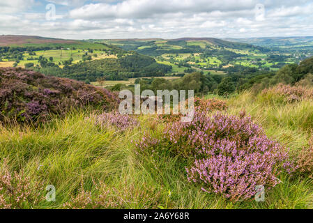 BurbageEdge, Hathersage, Peak District, Derbyshire, Angleterre, Royaume-Uni. Banque D'Images