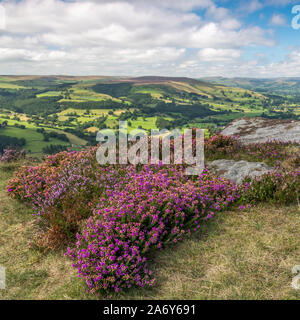 BurbageEdge, Hathersage, Peak District, Derbyshire, Angleterre, Royaume-Uni. Banque D'Images