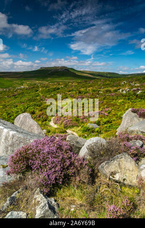 BurbageEdge, Hathersage, Peak District, Derbyshire, Angleterre, Royaume-Uni. Banque D'Images