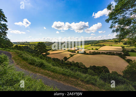 Sentier de l'été vue depuis la colline du Château, donnant sur la vallée de Torridge et champs avec ciel bleu, Great Torrington, Devon, Angleterre. Banque D'Images