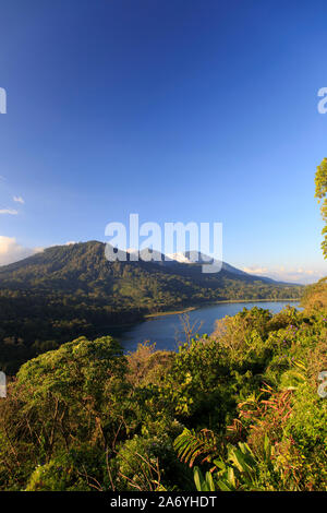L'INDONÉSIE, Bali, montagnes centrales, Munduk, Danau Tablingan Lake Banque D'Images