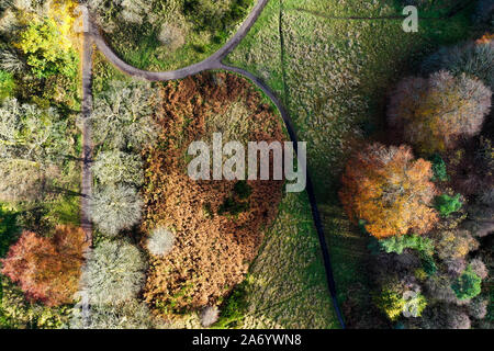 Milngavie, UK. 29 Oct, 2019. Drone aérien vue de soleil d'automne sur Mugdock Country Park et Château de Merville. Credit : ALAN OLIVER/Alamy Live News Banque D'Images