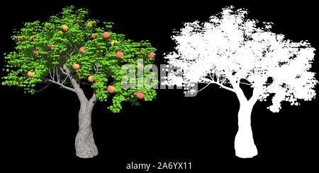 Pomme Rouge isolé de l'arbre avec masque pour faciliter l'isolement de fond, 3D illustration Banque D'Images