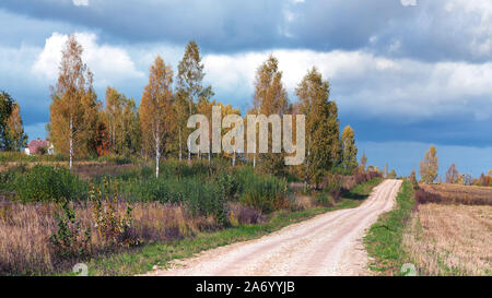 Chemin de bois parmi les roseaux sur le lac Banque D'Images