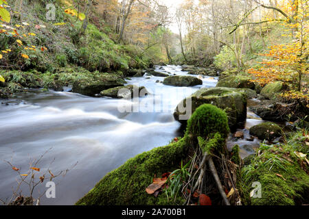 Rivière en automne Banque D'Images