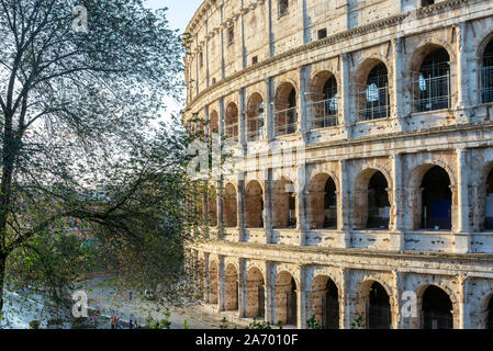 Colosseum in early morning light Banque D'Images