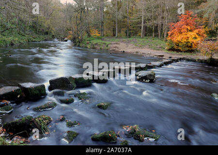 Dans stepping stones river Banque D'Images