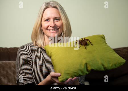 Carrie zoologiste Alcock avec Boris, son Araignée goliath birdeater à son domicile à Cheadle, Staffordshire en avant de la Pet Show à NEC les 2 et 3 novembre. Banque D'Images