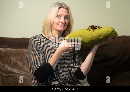 Carrie zoologiste Alcock avec Boris, son Araignée goliath birdeater à son domicile à Cheadle, Staffordshire en avant de la Pet Show à NEC les 2 et 3 novembre. Banque D'Images