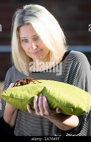 Carrie zoologiste Alcock avec Boris, son Araignée goliath birdeater à son domicile à Cheadle, Staffordshire en avant de la Pet Show à NEC les 2 et 3 novembre. PA Photo. Photo date : mardi 29 octobre, 2019. Crédit photo doit se lire : Jacob King/PA Wire Banque D'Images