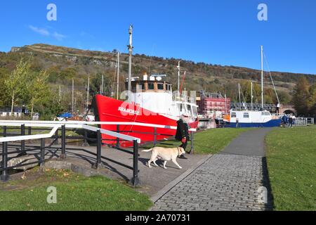 Femme mature promener son chien par le bateau d'hippocampes dans Bowling Harbour, sur la Forth et Clyde canal, East Dumbartonshire, Écosse, Royaume-Uni, Europe Banque D'Images