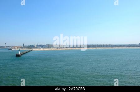 Seagull in front of White Cliffs of Dover Banque D'Images