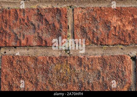 Old Weathered Red Brick Wall Banque D'Images