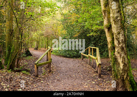 Passerelle au-dessus de ruisseau dans Brereton Heath,réserve naturelle, dans le Cheshire UK Banque D'Images