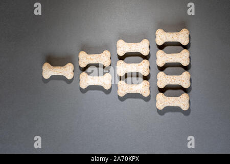 Plusieurs multi-couleur biscuits pour chiens présentées sous forme d'un schéma sur un fond gris, personne dans l'image Banque D'Images