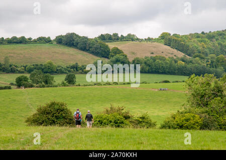 Deux hommes d'âge moyen marche sur South Downs Way dans la campagne du Hampshire est de Winchester en direction de la réserve naturelle nationale de Beacon Hill, en Angleterre. Banque D'Images