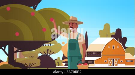 Cueillette des pommes mûres de agriculteur tree african american man recueillir les fruits en saison des récoltes campagne concept contexte plate horizontale portrait vector illustration Illustration de Vecteur