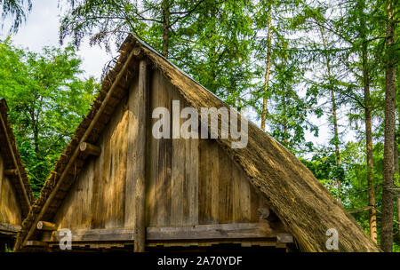 Ancienne cité médiévale à toit en bois avec un toit de chaume, l'architecture historique historique Banque D'Images